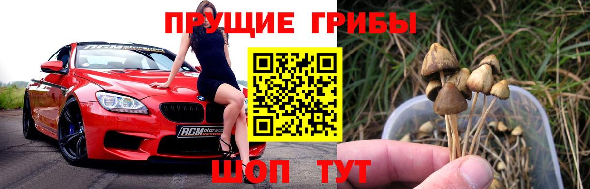 Учалы  Псилоцибиновые грибы MAGIC MUSHROOMS  Вход с VPN 